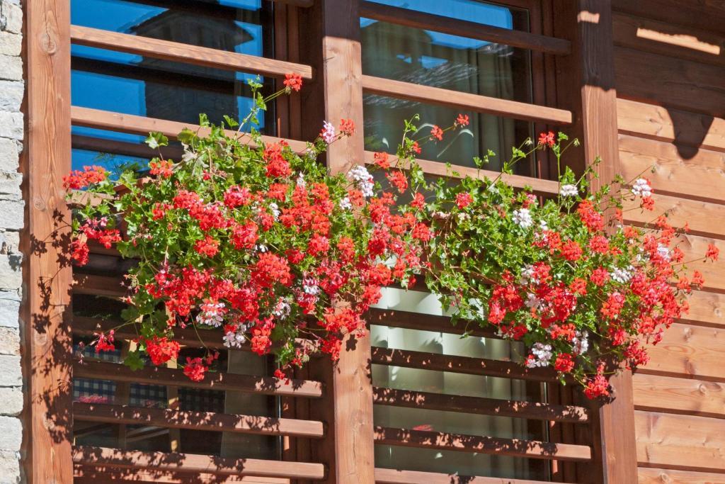 Pietre Gemelle Resort Alagna Valsesia Extérieur photo